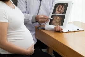 Importance of Early Pregnancy Scans